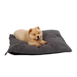 51 Degrees North Sheep Hundekissen 11 51 Degrees North Sheep Hundekissen -Haustierprodukte 51 degrees north sheep hondenkussen 141479 0500 none