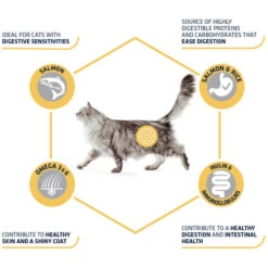 Affinity Advance Adult Salmon Sensitive - Katze 12 Affinity Advance Adult Salmon Sensitive - Katze -Haustierprodukte affinity advance adult salmon sensitive kat 178666 0500 none