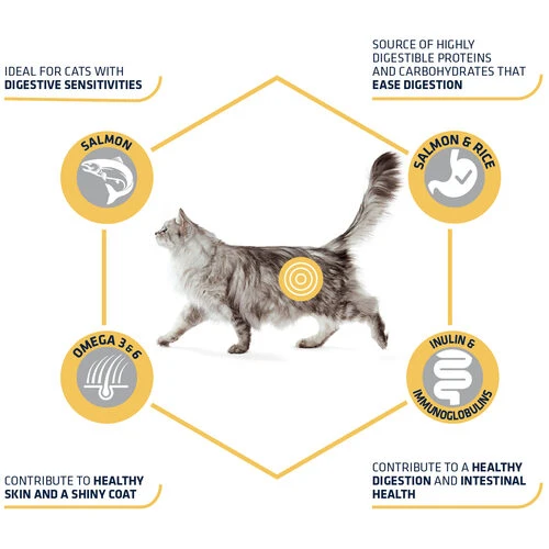 Affinity Advance Adult Salmon Sensitive - Katze 7 Affinity Advance Adult Salmon Sensitive - Katze – Bild 5