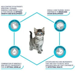 Affinity Advance Kitten Huhn Und Reis 12 Affinity Advance Kitten Huhn Und Reis -Haustierprodukte affinity advance kitten kip en rijst kat 178231 0500 none