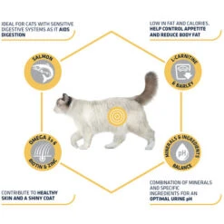 Affinity Advance Sterilized Salmon Sensitive - Katze 16 Affinity Advance Sterilized Salmon Sensitive - Katze -Haustierprodukte affinity advance sterilized salmon sensitive kat 178282 0500 none