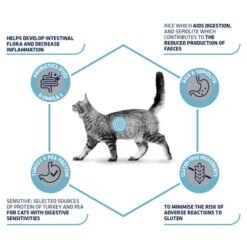 Affinity Advance Veterinary Diets Gastroenteric Sensitive Katze -Haustierprodukte affinity advance veterinary diets gastroenteric sensitive kat 178045 0500 none