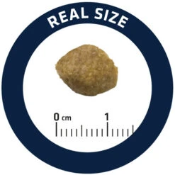 Affinity Advance Veterinary Diets Urinary Hund -Haustierprodukte affinity advance veterinary diets urinary hond 177694 0500 none