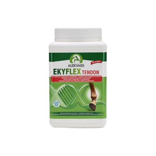Audevard Ekyflex Tendon 4 Audevard Ekyflex Tendon – Bild 2