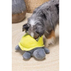 Beeztees Hide And Seek Schildo -Haustierprodukte beeztees hide and seek schildo 221788 0500 none