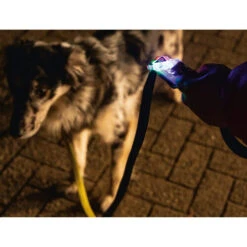 Beeztees Safety Gear Parinca Premium Hundeleine -Haustierprodukte beeztees safety gear parinca premium hondenriem 215036 0500 none