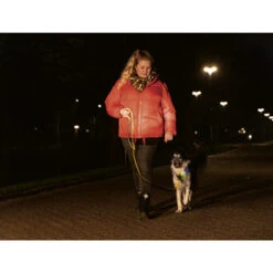 Beeztees Safety Gear Parinca Premium Hundeleine -Haustierprodukte beeztees safety gear parinca premium hondenriem 215042 0500 none