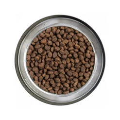 Belcando Puppy Getreidefrei -Haustierprodukte belcando puppy graanvrij 217769 0500 none