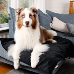 Bia Travel Outdoor Matratze -Haustierprodukte bia travel outdoor matras 191348 0500 none