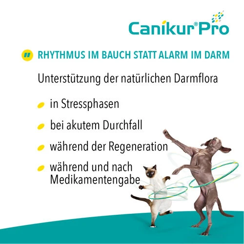 Canikur® Pro Diät-Ergänzungsfuttermittel Für Hunde 5 Canikur® Pro Diät-Ergänzungsfuttermittel Für Hunde – Bild 3