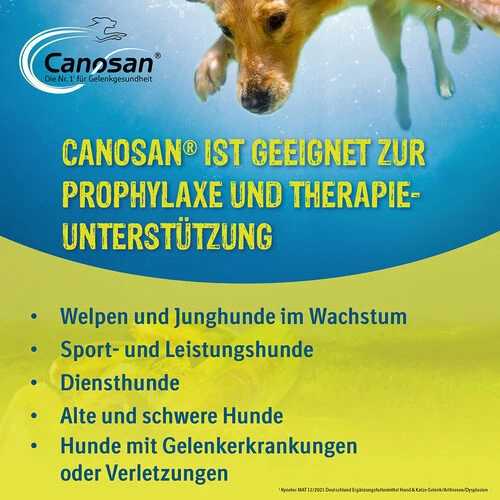 Canosan® Kautabletten Für Hunde 5 Canosan® Kautabletten Für Hunde – Bild 3