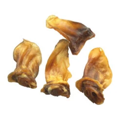 Competition Lammohren