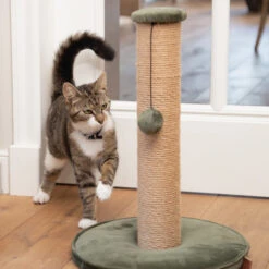 Designed By Lotte Kratzbaum Yenna -Haustierprodukte designed by lotte krabpaal yenna 164437 0500 none