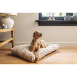 Designed By Lotte Xanti Hundekissen 9 Designed By Lotte Xanti Hundekissen -Haustierprodukte designed by lotte xanti hondenkussen 188124 0500 none