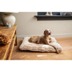 Designed By Lotte Xanti Hundekissen 8 Designed By Lotte Xanti Hundekissen -Haustierprodukte designed by lotte xanti hondenkussen 188127 0500 none