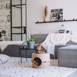 District 70 Bunker -Haustierprodukte district 70 bunker 190954 0500 none