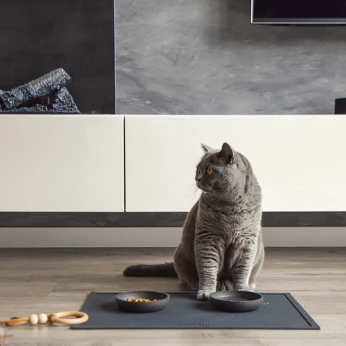 District 70 Serve Placemat 11 District 70 Serve Placemat – Bild 9