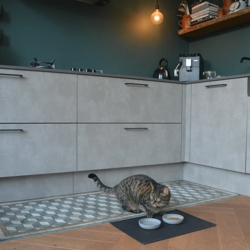 District 70 Serve Placemat 12 District 70 Serve Placemat – Bild 10