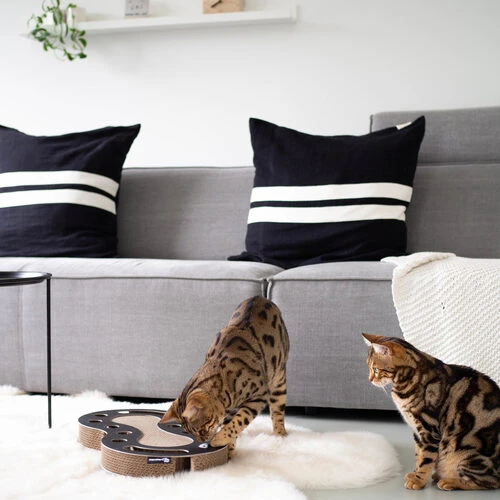 District 70 Snake 6 District 70 Snake – Bild 4