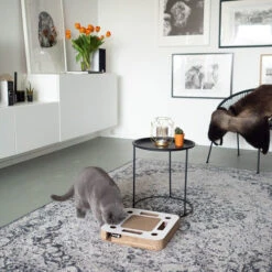 District 70 Spy -Haustierprodukte district 70 spy 133861 0500 none