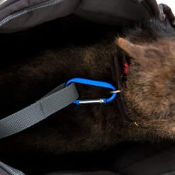 Doctor Bark Hundetragetasche -Haustierprodukte doctor bark honden draagtas 202157 0500 none