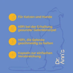 Dr. Ann's Mobility Support Plus -Haustierprodukte dr anns mobility support plus 203063 0500 none