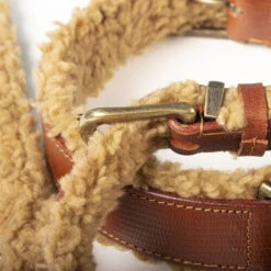 DWAM Halsband Teddy 6 DWAM Halsband Teddy -Haustierprodukte dwam halsband teddy 189206 0500 none