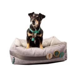 DWAM Jungle Love Korb 9 DWAM Jungle Love Korb -Haustierprodukte dwam jungle love mand 186595 0500 none