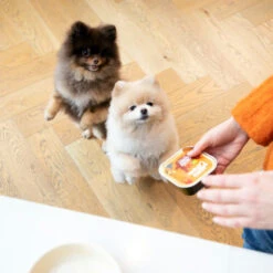 Edgard & Cooper Adult - Huhn & Truthahn - Im Schälchen -Haustierprodukte edgard cooper adult kip kalkoen kuipje 168597 0500 none