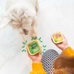 Edgard & Cooper Adult - Lamm & Rind - Im Schälchen -Haustierprodukte edgard cooper adult lam rund kuipje 168636 0500 none