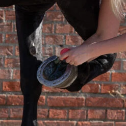 Equi Protecta Blue Wonder Gel -Haustierprodukte equi protecta blue wonder gel 161240 0500 none