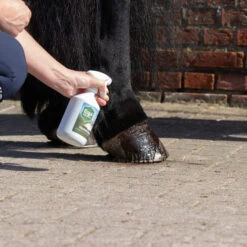 Equi Protecta Huf-Spray -Haustierprodukte equi protecta hoevenspray 161270 0500 none