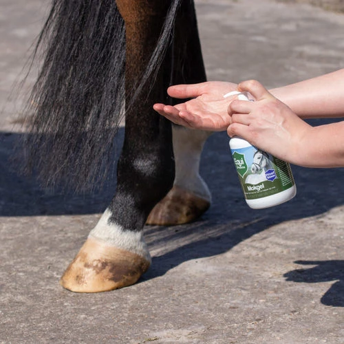 Equi Protecta Mallanders Gel 4 Equi Protecta Mallanders Gel – Bild 2