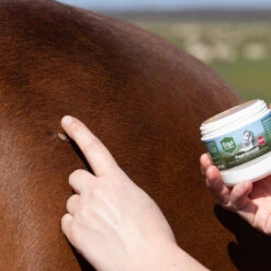 Equi Protecta Pferdesalbe -Haustierprodukte equi protecta paardenzalf 161327 0500 none