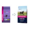 Eukanuba Dog - Growing Puppy - Large Breed 1 Eukanuba Dog - Growing Puppy - Large Breed -Haustierprodukte eukanuba dog growing puppy large breed 115080 0500 none