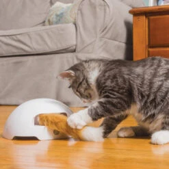 FroliCat Fox -Haustierprodukte frolicat fox 136594 0500 none