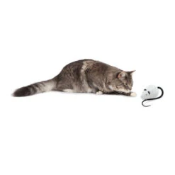 FroliCat RoloRat -Haustierprodukte frolicat rolorat 136588 0500 none