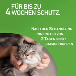 Frontline Combo Spot On Katze -Haustierprodukte frontline combo spot on kat 208217 0500 none