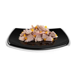 GimCat ShinyCat Filet 33 GimCat ShinyCat Filet -Haustierprodukte gimcat shinycat filet 158201 0500 none