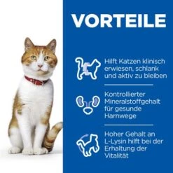 Hill's Science Plan Sterilised - Adult Cat -Haustierprodukte hills science plan feline adult sterilised chicken 218810 0500 none