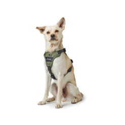 Hunter Geschirr Divo Dunkelblau/Grau -Haustierprodukte hunter harnas divo donkerblauwgrijs 166891 0500 none