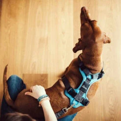 Hunter Geschirr Divo Dunkelblau/Grau -Haustierprodukte hunter harnas divo donkerblauwgrijs 166903 0500 none