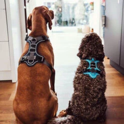 Hunter Geschirr Divo Dunkelblau/Grau -Haustierprodukte hunter harnas divo donkerblauwgrijs 166906 0500 none