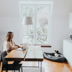 Hunter Eckkorb Livingstone - Grau -Haustierprodukte hunter hoekmand livingstone grijs 175903 0500 none