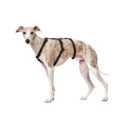 Hunter Vario Rapid Sicherheitsgeschirr - Schwarz -Haustierprodukte hunter vario rapid veiligheidsharnas zwart 169501 0500 none