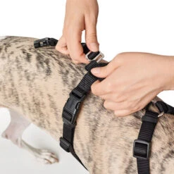 Hunter Vario Rapid Sicherheitsgeschirr - Schwarz -Haustierprodukte hunter vario rapid veiligheidsharnas zwart 169504 0500 none