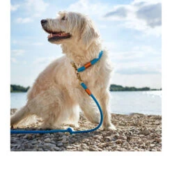 Hunter Verstellbare Führleine Oss -Haustierprodukte hunter verstelbare riem oss 116580 0500 none