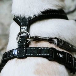 Hurtta Casual Harness