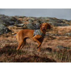 Hurtta Go Geschirr Storm Grey 9 Hurtta Go Geschirr Storm Grey -Haustierprodukte hurtta go harness storm grey 201305 0500 none