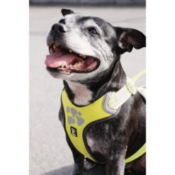 Hurtta Weekend Warrior Geschirr -Haustierprodukte hurtta weekend warrior harness 189093 0500 none